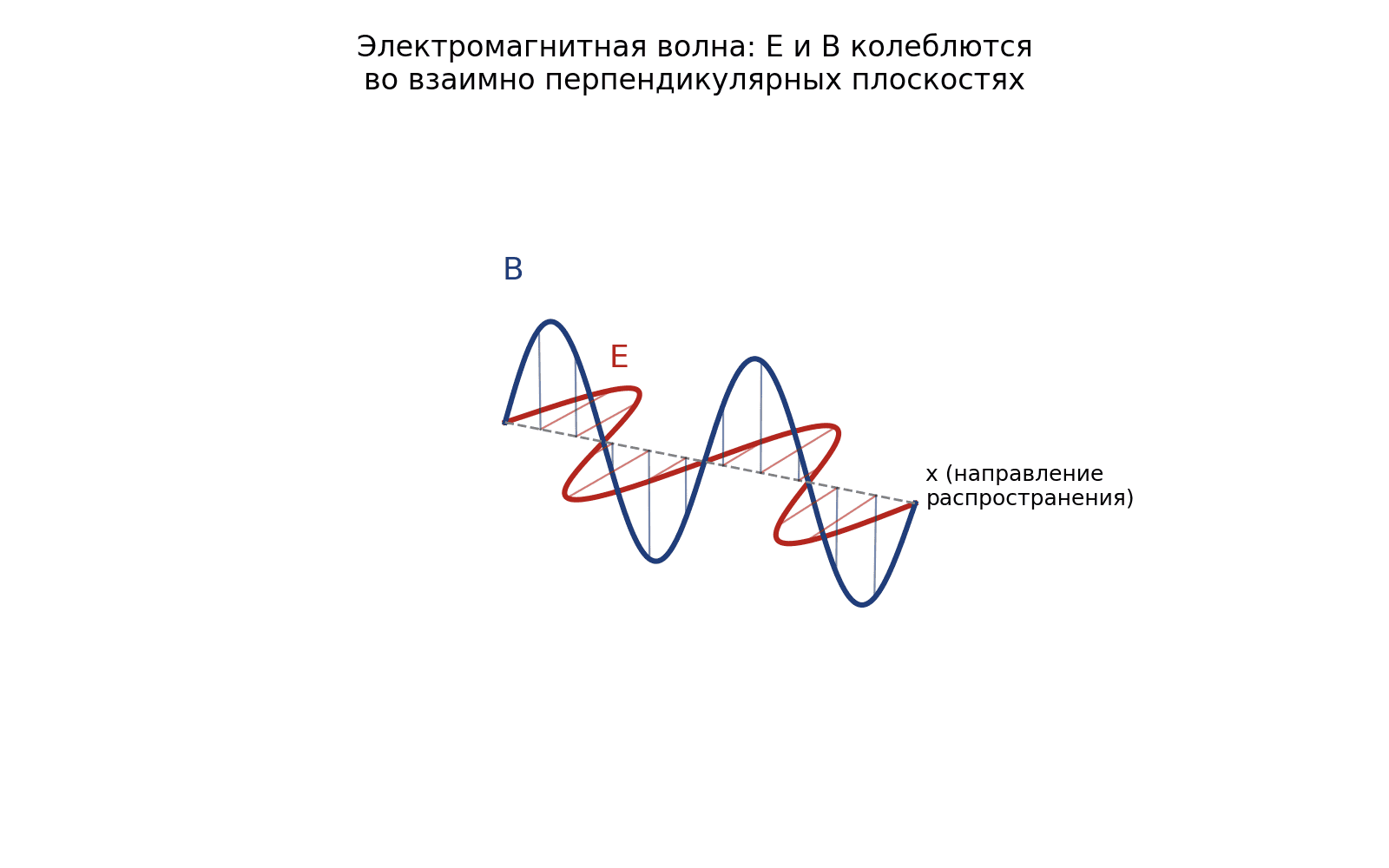 Электромагнитная волна: векторы E и B колеблются синфазно во взаимно перпендикулярных плоскостях, перпендикулярных…
