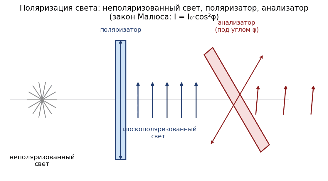 Поляризация света: неполяризованный свет становится плоскополяризованным после поляризатора; анализатор, повёрнутый на угол…