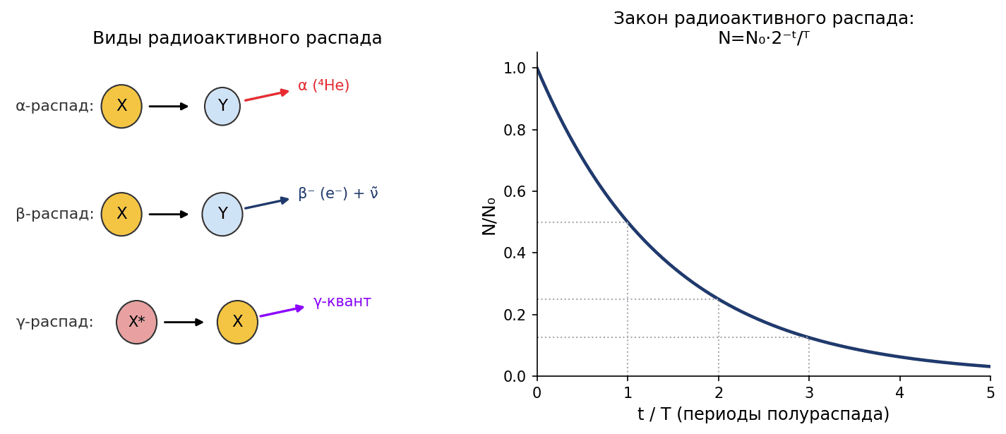 Три вида радиоактивного распада (слева) и закон радиоактивного распада N=N₀·2⁻ᵗ/ᵀ (справа): за каждый период полураспада T…