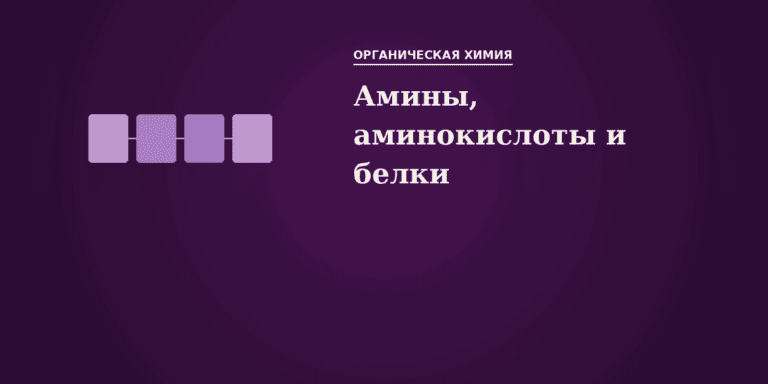Амины, аминокислоты и белки