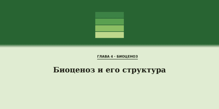 Биоценоз (сообщество) и его структура