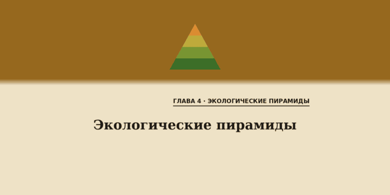 Экологические пирамиды