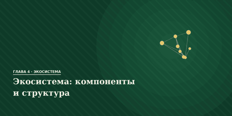 Экосистема: компоненты и структура