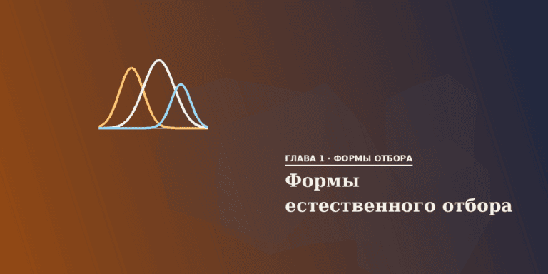 Формы естественного отбора