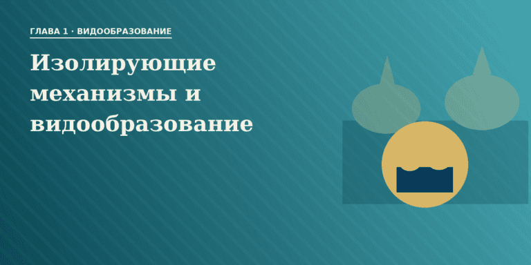 Изолирующие механизмы и видообразование