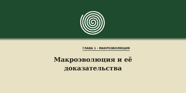 Макроэволюция и её доказательства