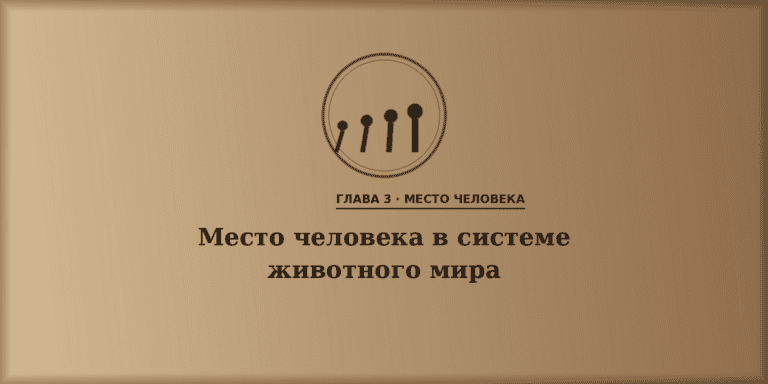 Место человека в системе животного мира
