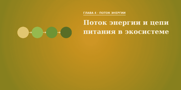 Поток энергии и цепи питания в экосистеме