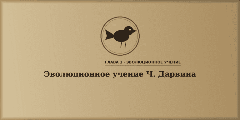 Развитие эволюционных идей. Эволюционное учение Ч. Дарвина