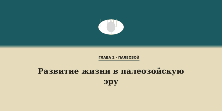Развитие жизни в палеозойскую эру
